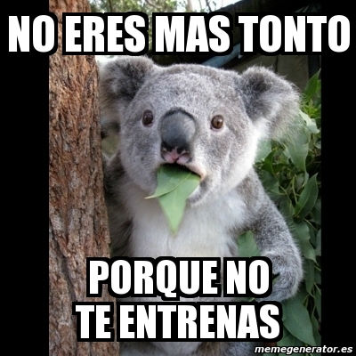 Meme Koala - No eres mas tonto PORQUE NO TE ENTRENAS - 3472170