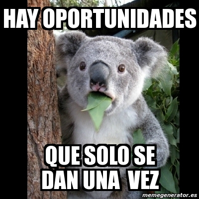 Meme Koala - hay oportunidades que solo se dan una vez - 3502389