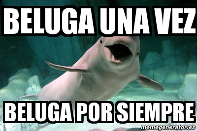 Meme Personalizado - beluga una vez beluga por siempre ...