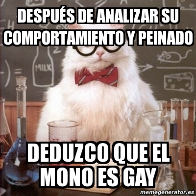 Meme Chemistry Cat - DESPUÃ‰S de analizar su comportamiento y peinado  DEDUZCO que el mono es gay - 3856322