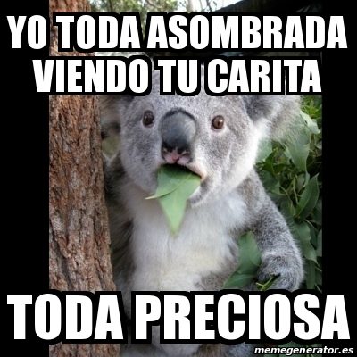 Meme Koala Yo toda asombrada viendo tu carita toda preciosa