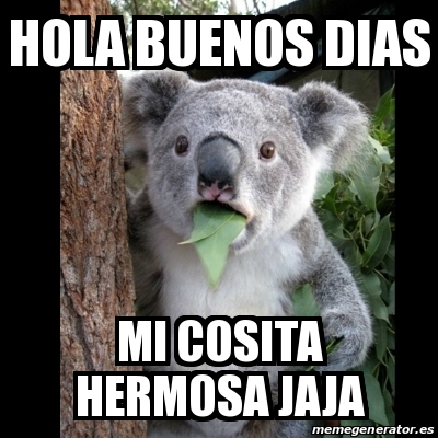 Meme Koala - hola buenos dias mi cosita hermosa jaja - 30268568