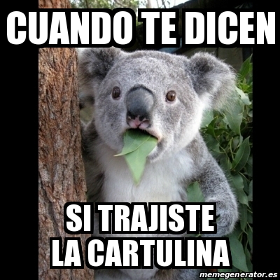 Meme Koala - cuando te dicen si TRAJISTE la cartulina - 30414544