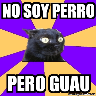 Meme Anxiety Cat No Soy Perro Pero Guau