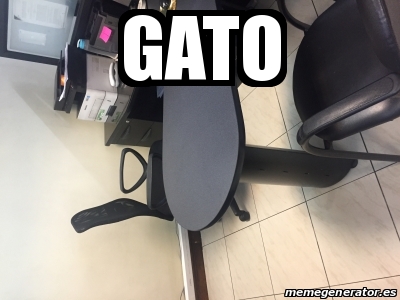 Meme Personalizado Gato