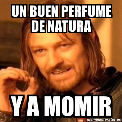 Meme Boromir - Un buen perfume de Natura y a momir - 30674001