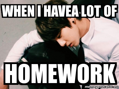 have a lot of homework meme