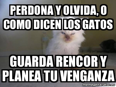 Meme Personalizado Perdona Y Olvida O Como Dicen Los Gatos Guarda