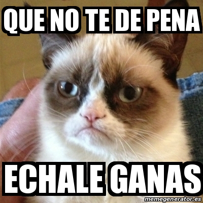 Meme Grumpy Cat - que no te de pena echale ganas - 30764906