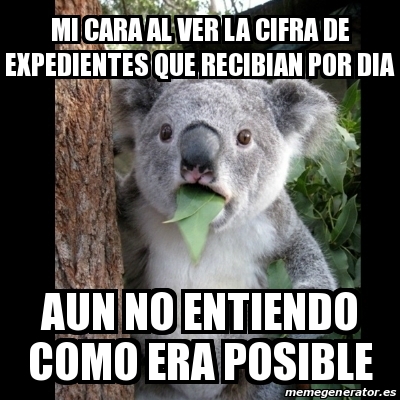 Meme Koala - mi cara al ver la cifra de expedientes que recibian por ...