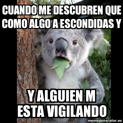 Meme Koala - Cuando Me Descubren Que Como Algo A Escondidas Y Y Alguien 