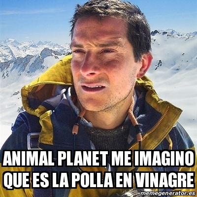 Meme Bear Grylls - animal planet me imagino que es la polla en vinagre -  30087663