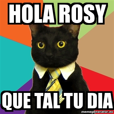 Meme Business Cat - Hola Rosy Que tal tu Dia - 30839597