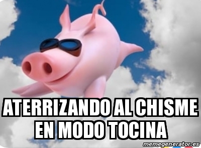 Meme Personalizado - Aterrizando al chisme en modo tocina - 30849081