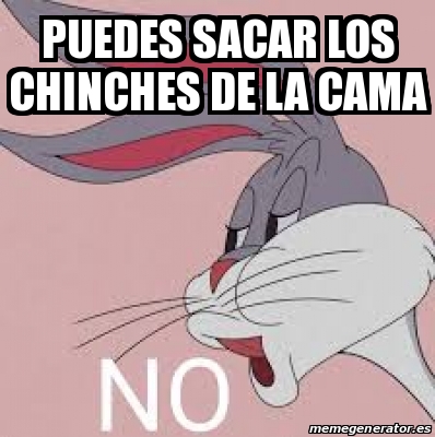 Meme Personalizado Puedes Sacar Los Chinches De La Cama