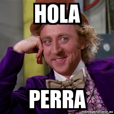 Meme Willy Wonka - Hola Perra - 30909592