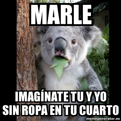 Meme Koala - Marle ImagÃnate tu y yo sin ropa en tu cuarto - 31112245