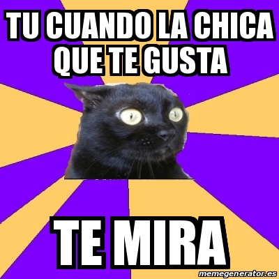 Meme Anxiety Cat Tu Cuando La Chica Que Te Gusta Te Mira