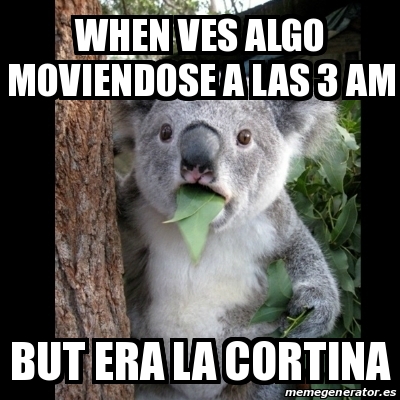 Meme Koala - WHEN VES ALGO MOVIENDOSE A LAS 3 AM BUT ERA LA CORTINA ...