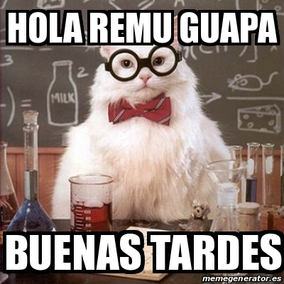 Meme Chemistry Cat - Hola REMU guapa Buenas tardes - 31193997