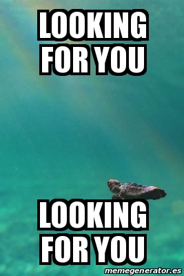 Meme Personalizado - Looking for you Looking for you ...