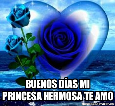 Meme Personalizado - Buenos dÃas Mi princesa hermosa te amo - 31230235