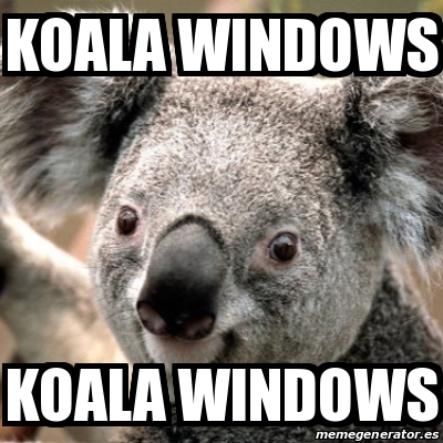 Meme Personalizado - KOALA WINDOWS KOALA WINDOWS - 31236039