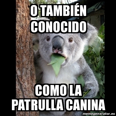 Meme Koala - O tambiÃ©n conocido Como la patrulla canina - 31279726