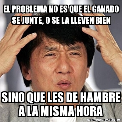 Meme Jackie Chan   El Problema No Es Que El Ganado Se Junte, O Se La