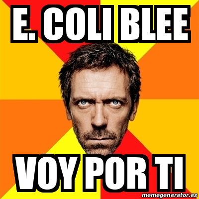 Meme House - e. coli blee voy por ti - 31305130