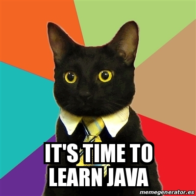 Meme Business Cat - It's time to learn Java - 31381362