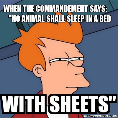 Meme Futurama Fry - When the commandement says: "no animal shall sleep