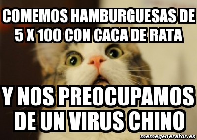 Meme Personalizado Comemos Hamburguesas De 5 X 100 Con Caca De Rata Y Nos Preocupamos De Un Virus Chino