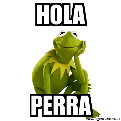 Meme Kermit the frog - Hola Perra - 31438657