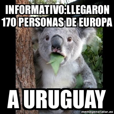 Meme Koala - Informativo:Llegaron 170 personas de Europa a Uruguay ...