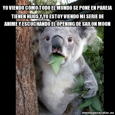 Meme Koala - Yo viendo cÃ³mo todo el mundo se pone en pareja tienen hijos y  yo estoy viendo mi serie de anime y escuchando el opening de sailon moon -  31455010