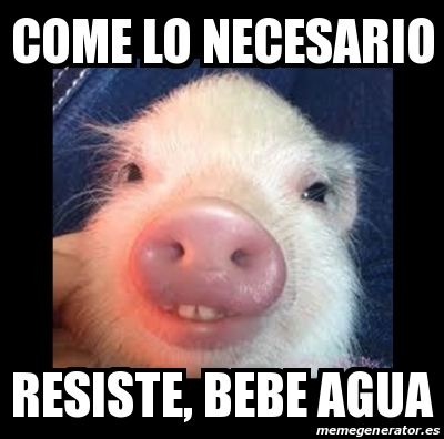 Meme Personalizado Come Lo Necesario Resiste Bebe Agua