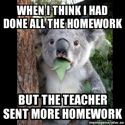 Meme Koala - when I think I had done all the homework But the teacher ...