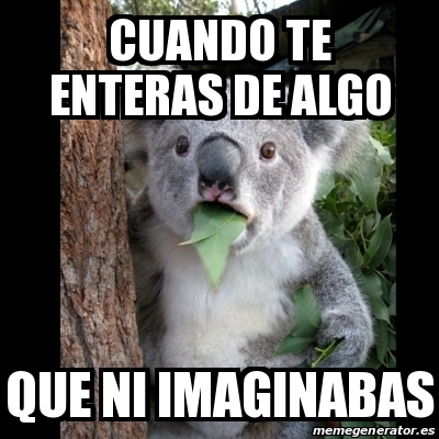 Meme Koala - CUANDO TE ENTERAS DE ALGO QUE NI IMAGINABAS - 31495474