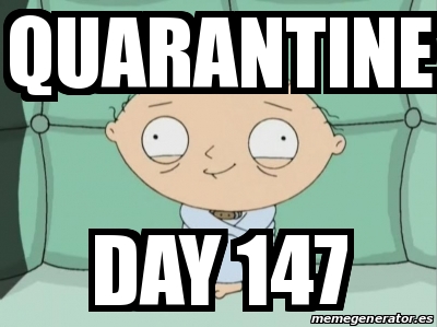 Meme Personalizado - Quarantine day 147 - 31539566