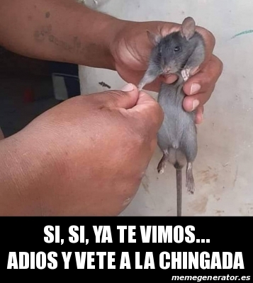 Meme Personalizado Si Si Ya Te Vimos Adios Y Vete A La Chingada