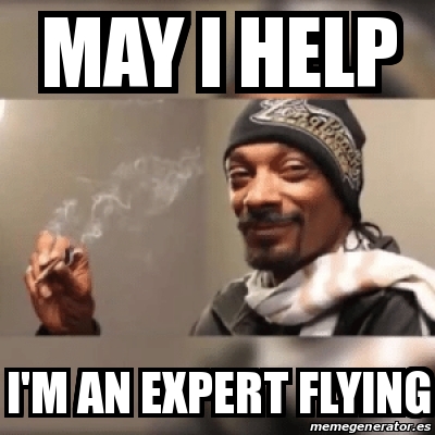 Meme Personalizado - May i help I'm an expert flying ...