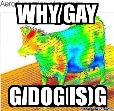 Im not gay meme dog