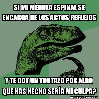 Meme Filosoraptor Si Mi M Dula Espinal Se Encarga De Los Actos Reflejos Y Te Doy Un Tortazo