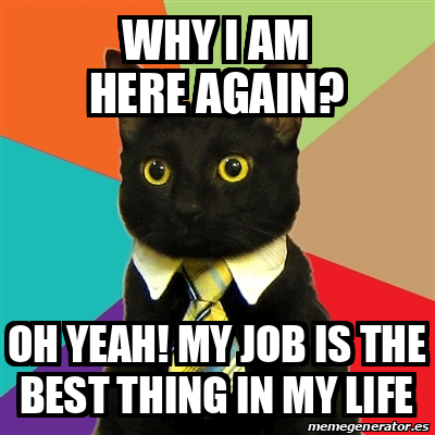 Meme Business Cat - Why I am here again? OH yeah! my job is the best ...