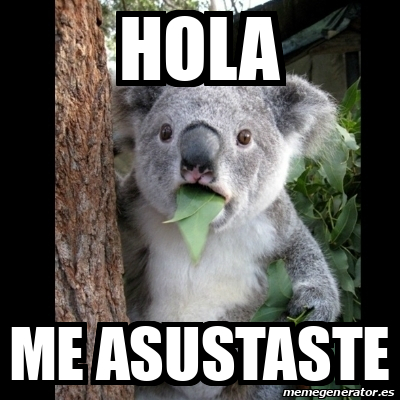 Meme Koala Hola Me Asustaste