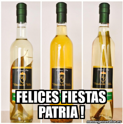 Meme Personalizado - Felices FIESTAS PATRIA ! - 31803055