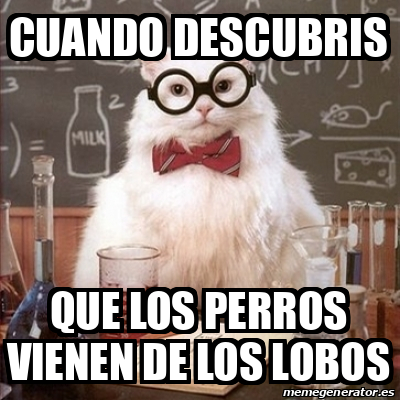 Meme Chemistry Cat - Cuando descubris Que los perros vienen de los lobos -  31852134