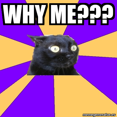 Meme Anxiety Cat - why me??? - 31928201