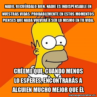 Meme Homer - Nadie, recuérdalo bien, nadie es indispensable en nuestras ...